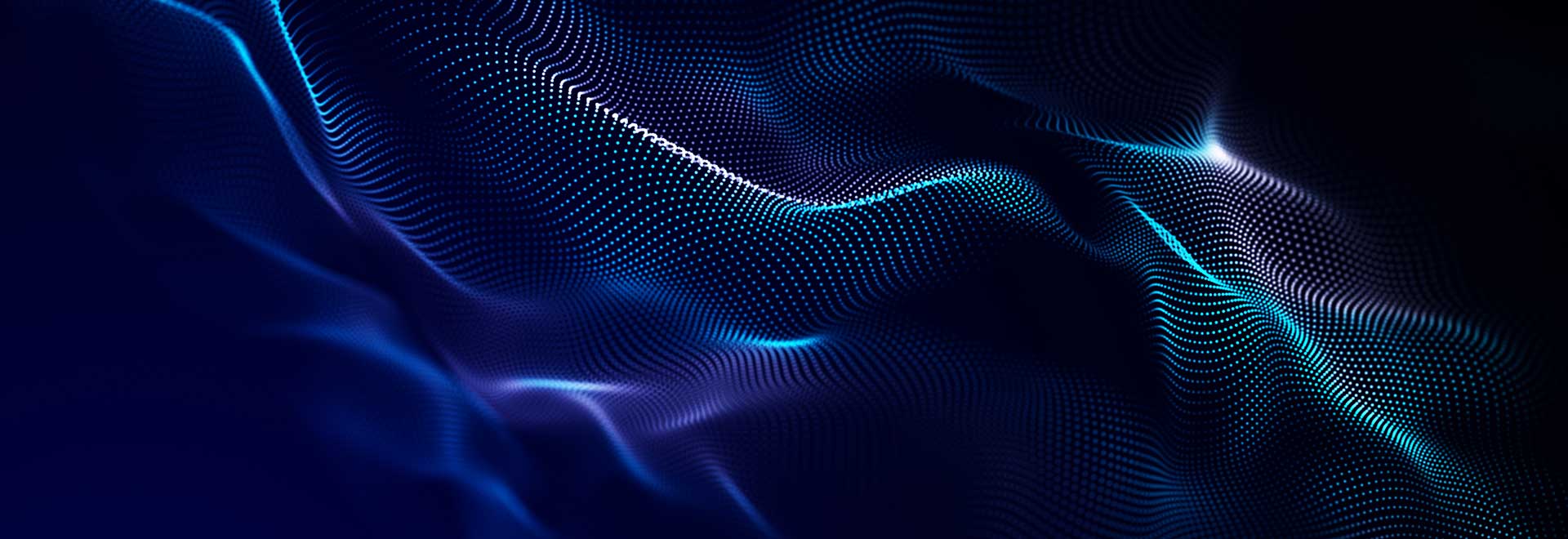 Why Every Company Needs a Fractional CISO 